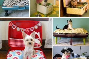 Cómo hacer una original cama para mascotas pequeñas