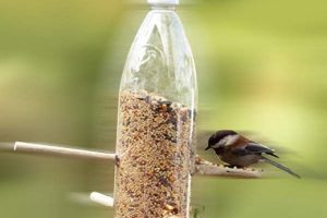 Reciclaje con botellas de plástico